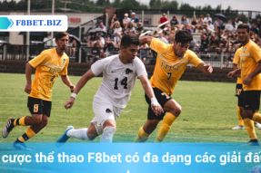 Thể thao F8BET: Thiên Đường Cá Cược Thể Thao Trực Tuyến.